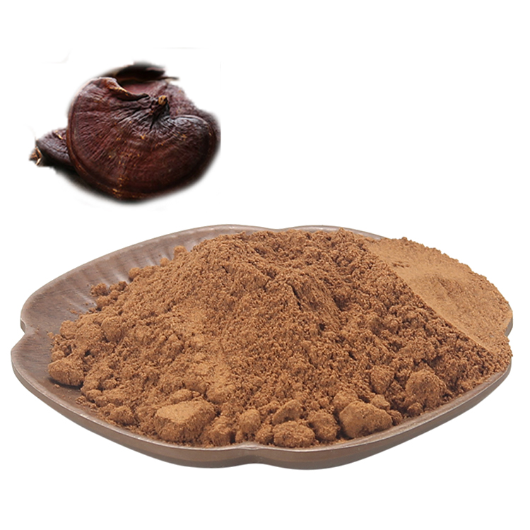 Top Benefits of Red Reishi Mushroom for Liver Function